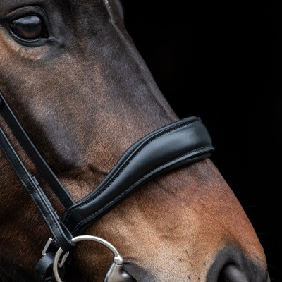 Cabeça de cavalo castanho com braçadeira preta e ferragens metálicas
