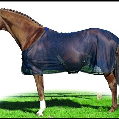 Cavalo castanho com manta de rede preta na relva verde