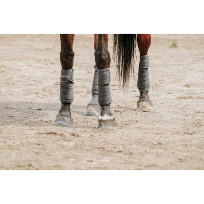 Patas dianteiras de cavalo com proteções cinzentas em chão de areia