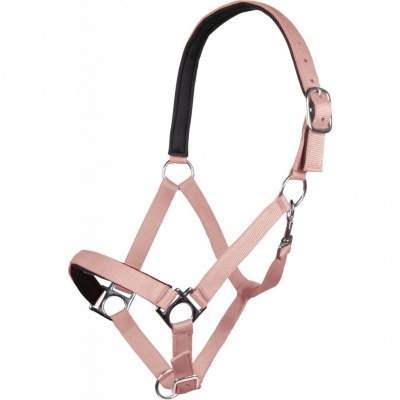 Cabresto para cavalo rosa claro com acolchoamento negro e peças metálicas