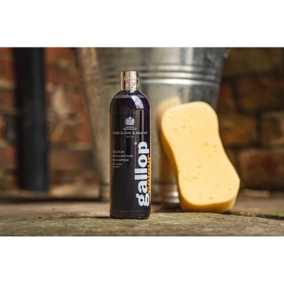 Garrafa preta de shampoo Gallop Colour ao lado de esponja amarela junto a balde metálico e fundo de parede rústica.