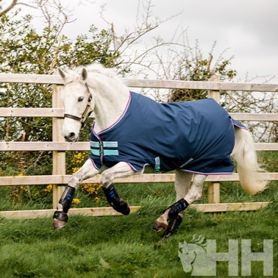 Cavalo branco com manta azul-escura e proteções pretas nas pernas num campo