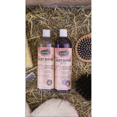 Dois frascos de champô Ravene EASY SHINE sobre palha com acessórios capilares