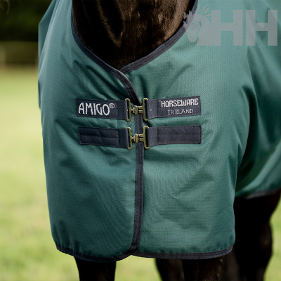 Manta verde para cavalo com etiquetas AMIGO® HORSEWARE IRELAND no dorso