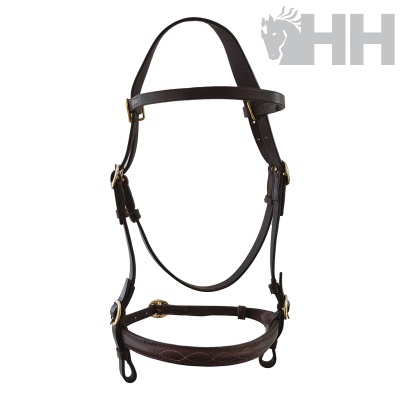 Freio ou cabresto para cavalo em couro castanho escuro com detalhes dourados