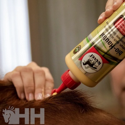 Frasco de produto de cuidados para cavalos sendo aplicado na crina de cavalo castanho