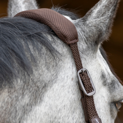 Cabeçada castanha de tecido trançado com protetor acolchoado em cavalo cinzento