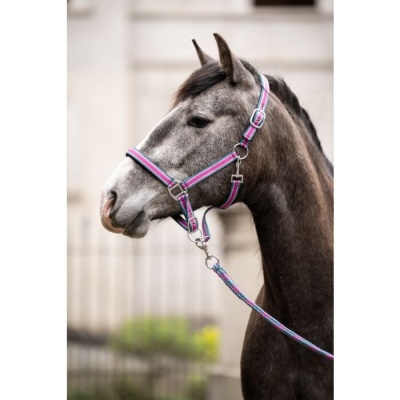 Cabeça de cavalo cinza com peitoral colorido e corda trançada