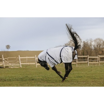 Cavalo preto com manta branca a galopar num campo com vedação de madeira