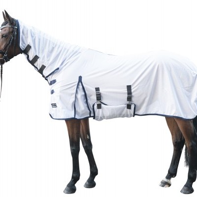 Cavalo com manta branca e tiras pretas