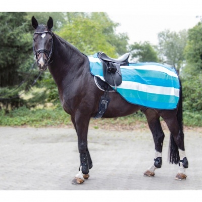 Cavalo preto com sela e manta azul clara com listas brancas em ambiente exterior