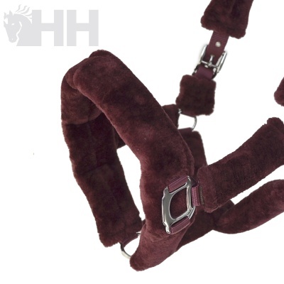 Cabresto de pelúcia cor vinho com fivelas metálicas prateadas