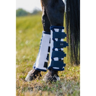 Perneiras de proteção azuis com velcro em pernas de cavalo negro