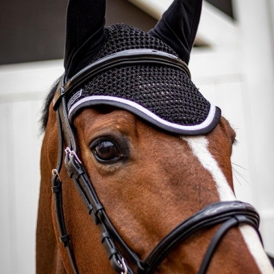 Cavalo com cabeçada de couro preta e touca protetora preta