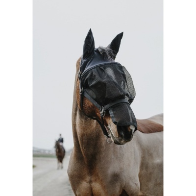 Cavalo usando máscara protetora preta ao ar livre