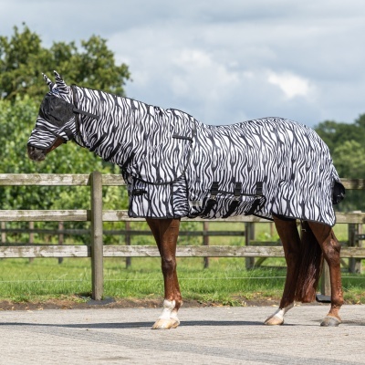 Cavalo com capa zebra preta e branca em área externa rural