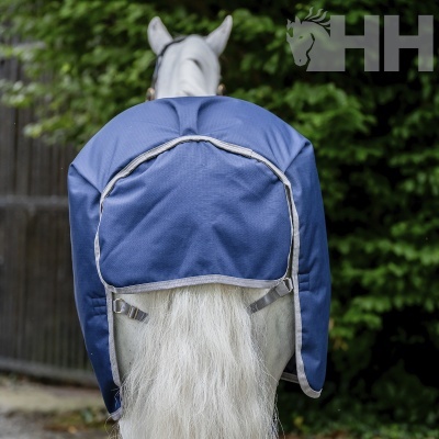 Cobertura azul para cauda de cavalo em cavalo branco com fundo verde