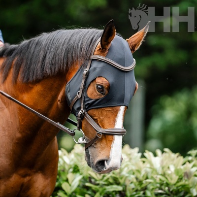 Cavalo com careta preta e bridão de couro castanho ao ar livre