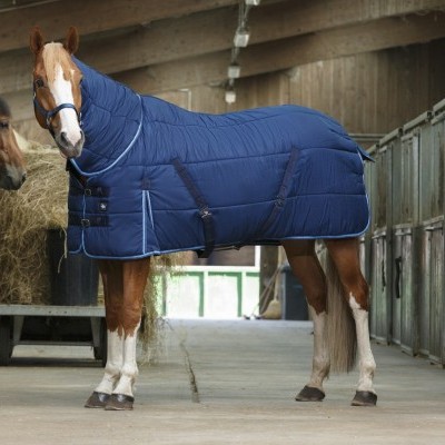Cavalo com manta azul escuro em estábulo com outros cavalos nas baias