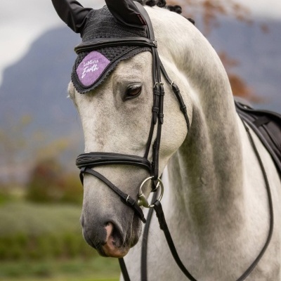 Cavalo cinzento com cabeçada e aba protetora preta com emblema roxo com texto, ao ar livre