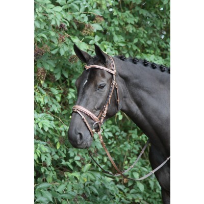 Cavalo preto com cela de couro castanho claro com crina trançada em fundo de folhagem verde