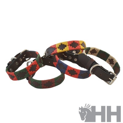 Coleiras para cães coloridas com padrões geométricos e partes em couro e metal.