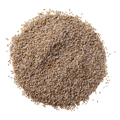 Pilha redonda de sementes castanhas claras sobre fundo branco