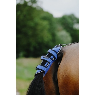 Protetor azul para rabo de cavalo castanho junto a natureza