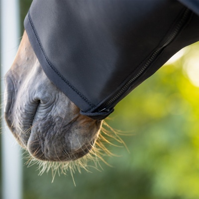 Capa preta com fecho a fechar focinho de cavalo cinzento
