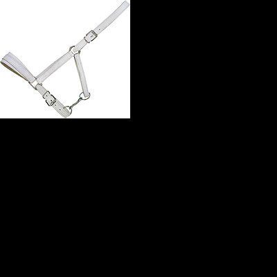 Cabresto branco de couro para cavalo com fivelas metálicas