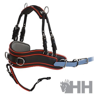 arnês para equitação preto com detalhes vermelhos e azul claro sobre fundo branco, com logótipo HH