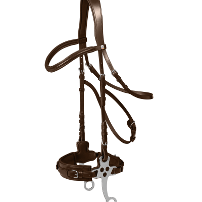 Cabresto ou freio de cavalo em couro marrom com peças metálicas