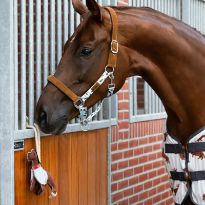 Cavalo castanho em cocheira com cabresto e brinquedo de cavalo