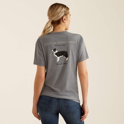 T-shirt cinzenta com estampa de cão e texto 'ARIAT INTERNATIONAL'