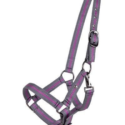 Cabresto para cavalo cinza com risca rosa e fivelas metálicas