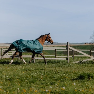 Cavalo castanho com cobertor verde escuro numa pastagem com cerca de madeira