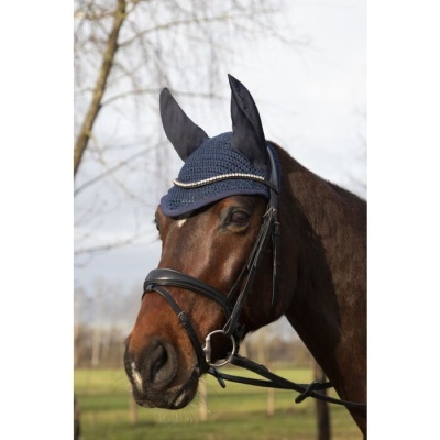 Cavalo com bourrelet azul escuro e auriculares em pé