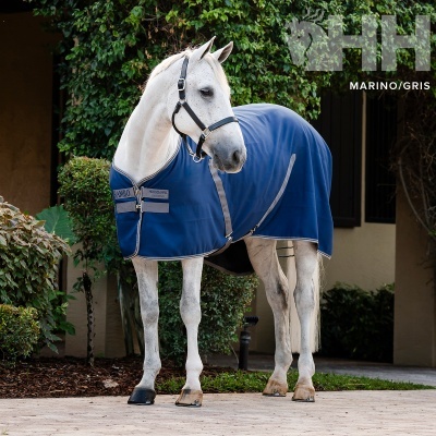 Cavalo branco com manta azul-marinho com tiras cinzentas em ambiente exterior