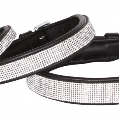 Colares para animais com strass e fivela metálica