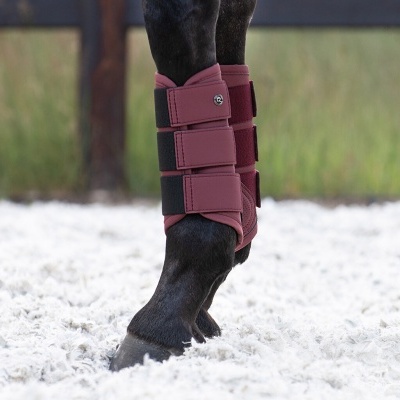 Proteção bordô com tiras pretas na perna de cavalo preto em solo claro