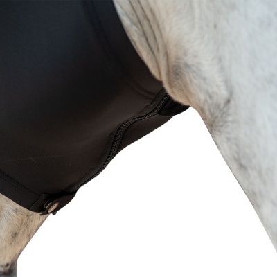 Capa preta em material sintético na barriga de cavalo branco com manchas cinzentas