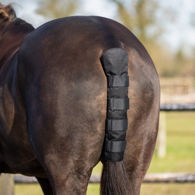 Proteção preta na cauda de cavalo castanho escuro ao ar livre
