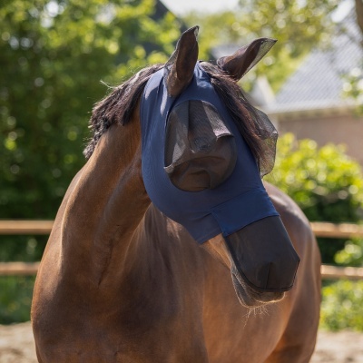 Máscara azul para cavalo com proteção de rede preta nos olhos e focinho