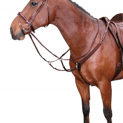 Cavalo castanho com sela e cabeçada em couro castanho