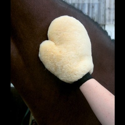 Luva almofadada creme sendo usada para acariciar cavalo castanho.