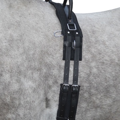 Correia abdominal preta com fivelas em cavalo cinzento