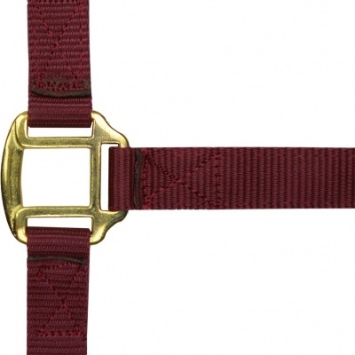 Cinta com fivela dourada e tira de tecido bordô