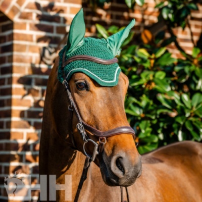 Cavalo com touca verde e focinheira castanha frente a parede de tijolos