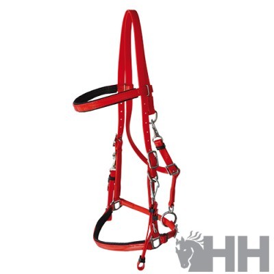 Cabresto para cavalo vermelho com detalhes a preto e fivelas metálicas