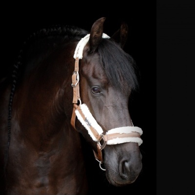 Cavalo castanho com cabresto de pelúcia branca e cabedal